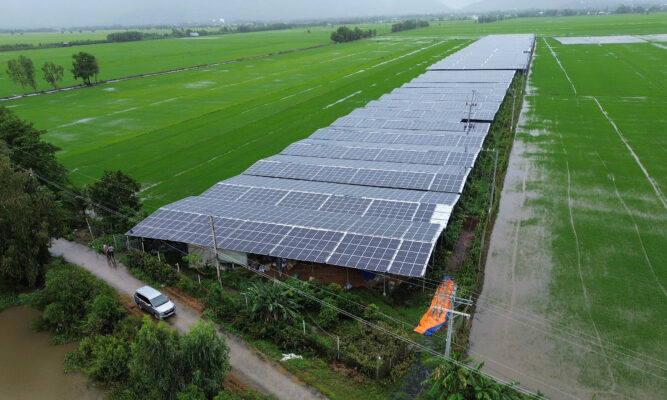 Mo Hi Nh Tro Ng Na M O Ta Da N 8929 7525 1740505237