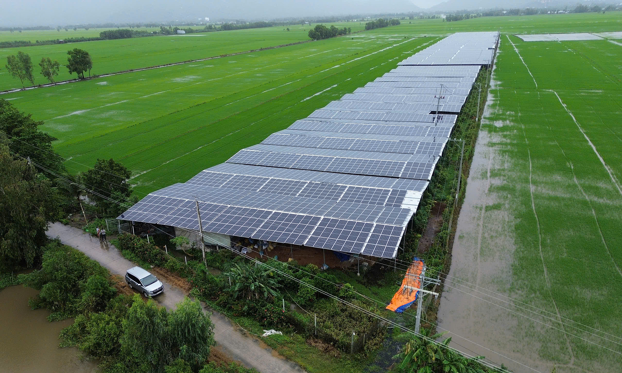 Mo Hi Nh Tro Ng Na M O Ta Da N 8929 7525 1740505237